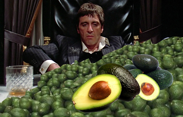 High Quality scarface avocado Blank Meme Template