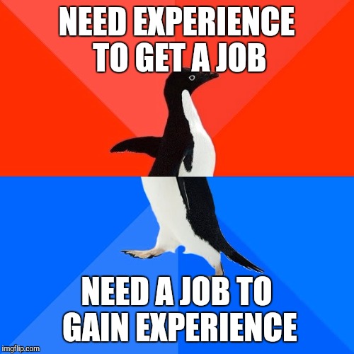 Well then... | NEED EXPERIENCE TO GET A JOB; NEED A JOB TO GAIN EXPERIENCE | image tagged in memes,socially awesome awkward penguin,job,well then | made w/ Imgflip meme maker