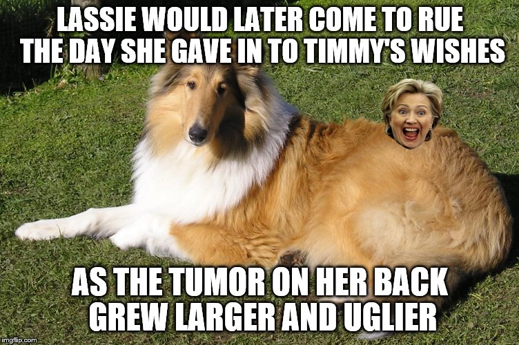 LASSIE WOULD LATER COME TO RUE THE DAY SHE GAVE IN TO TIMMY'S WISHES AS THE TUMOR ON HER BACK GREW LARGER AND UGLIER | made w/ Imgflip meme maker