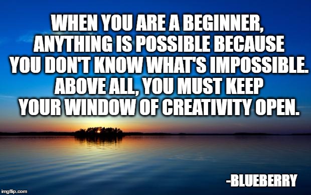 Inspirational Quote |  WHEN YOU ARE A BEGINNER, ANYTHING IS POSSIBLE BECAUSE YOU DON'T KNOW WHAT'S IMPOSSIBLE. ABOVE ALL, YOU MUST KEEP YOUR WINDOW OF CREATIVITY OPEN. -BLUEBERRY | image tagged in inspirational quote | made w/ Imgflip meme maker