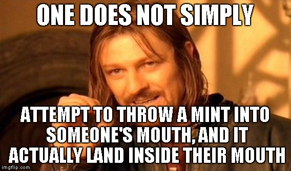 One Does Not Simply Meme | ONE DOES NOT SIMPLY ATTEMPT TO THROW A MINT INTO SOMEONE'S MOUTH, AND IT ACTUALLY LAND INSIDE THEIR MOUTH | image tagged in memes,one does not simply | made w/ Imgflip meme maker