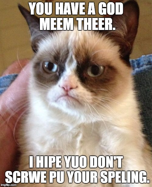 Grumpy Cat | YOU HAVE A GOD MEEM THEER. I HIPE YUO DON'T SCRWE PU YOUR SPELING. | image tagged in memes,grumpy cat | made w/ Imgflip meme maker