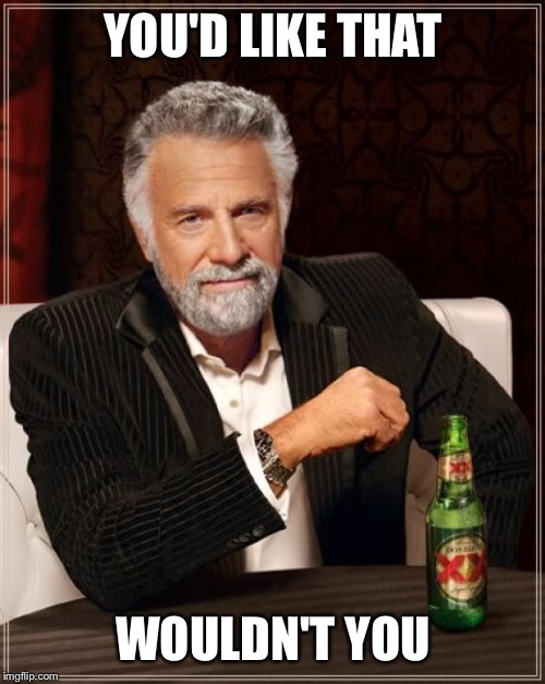 The Most Interesting Man In The World Meme | YOU'D LIKE THAT WOULDN'T YOU | image tagged in memes,the most interesting man in the world | made w/ Imgflip meme maker