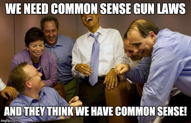 And then I said Obama | WE NEED COMMON SENSE GUN LAWS; AND THEY THINK WE HAVE COMMON SENSE! | image tagged in memes,and then i said obama | made w/ Imgflip meme maker