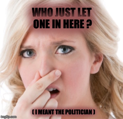 Eeewwwww! | WHO JUST LET ONE IN HERE ? ( I MEANT THE POLITICIAN ) | image tagged in stinky | made w/ Imgflip meme maker