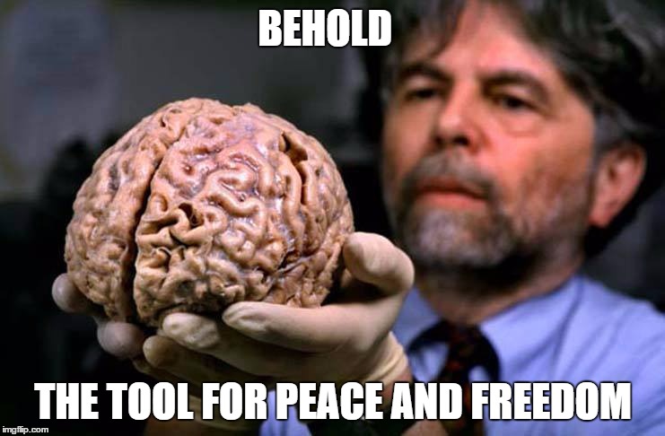 Lost brain | BEHOLD; THE TOOL FOR PEACE AND FREEDOM | image tagged in lost brain | made w/ Imgflip meme maker