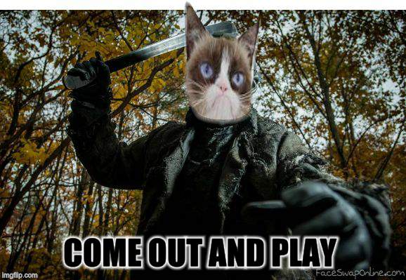grumpy cat jason | COME OUT AND PLAY | image tagged in grumpy cat jason | made w/ Imgflip meme maker