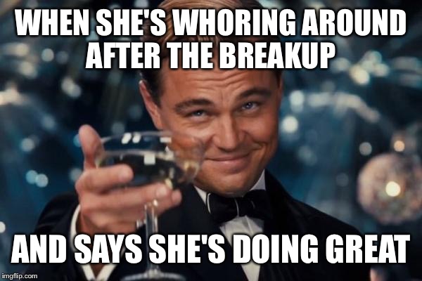 Leonardo Dicaprio Cheers | WHEN SHE'S WHORING AROUND AFTER THE BREAKUP; AND SAYS SHE'S DOING GREAT | image tagged in memes,leonardo dicaprio cheers | made w/ Imgflip meme maker