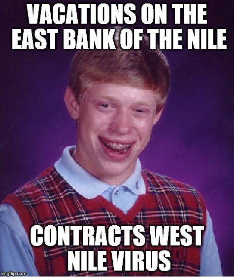 leaving for the promised land | VACATIONS ON THE EAST BANK OF THE NILE; CONTRACTS WEST NILE VIRUS | image tagged in memes,bad luck brian | made w/ Imgflip meme maker