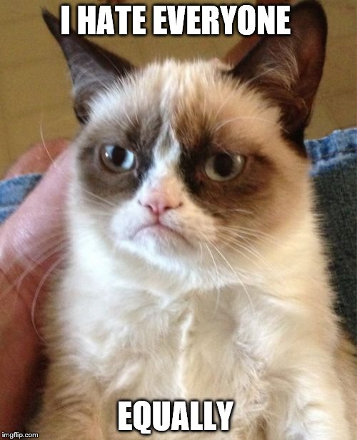 Grumpy Cat Meme | I HATE EVERYONE; EQUALLY | image tagged in memes,grumpy cat | made w/ Imgflip meme maker
