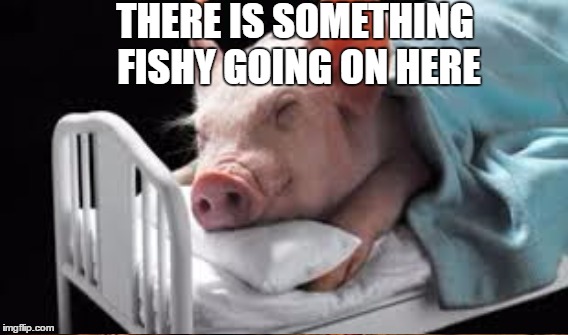 THERE IS SOMETHING FISHY GOING ON HERE | made w/ Imgflip meme maker