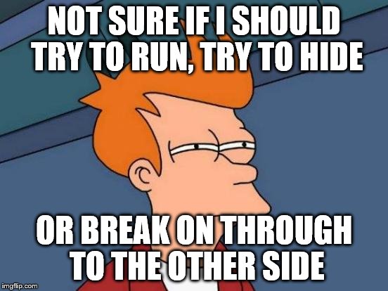 Futurama Fry Meme | NOT SURE IF I SHOULD TRY TO RUN, TRY TO HIDE OR BREAK ON THROUGH TO THE OTHER SIDE | image tagged in memes,futurama fry | made w/ Imgflip meme maker