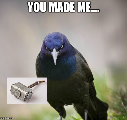 Angry Bird | YOU MADE ME.... | image tagged in angry bird | made w/ Imgflip meme maker
