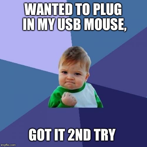 Success Kid Meme | WANTED TO PLUG IN MY USB MOUSE, GOT IT 2ND TRY | image tagged in memes,success kid | made w/ Imgflip meme maker