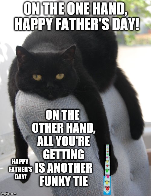 Draped Cat Be Like | ON THE ONE HAND, HAPPY FATHER'S DAY! ON THE OTHER HAND, ALL YOU'RE GETTING IS ANOTHER FUNKY TIE; HAPPY FATHER'S DAY! | image tagged in black cat draped on chair,draped cat,on the one hand,happy father's day,all you're getting is another funky tie | made w/ Imgflip meme maker