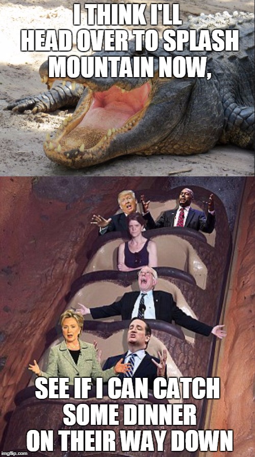 alligator at Splash Mountain, Disneyworld | I THINK I'LL HEAD OVER TO SPLASH MOUNTAIN NOW, SEE IF I CAN CATCH SOME DINNER ON THEIR WAY DOWN | image tagged in current events,disney,alligator,splash mountain,politics,humor | made w/ Imgflip meme maker