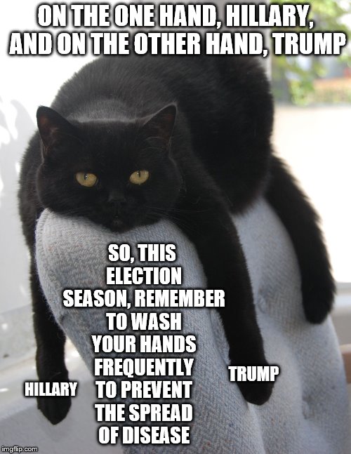 Draped Cat Be Like | ON THE ONE HAND, HILLARY, AND ON THE OTHER HAND, TRUMP; SO, THIS ELECTION SEASON, REMEMBER TO WASH YOUR HANDS FREQUENTLY TO PREVENT THE SPREAD OF DISEASE; TRUMP; HILLARY | image tagged in black cat draped on chair,draped cat,on the one hand,trump and hillary,wash your hands | made w/ Imgflip meme maker