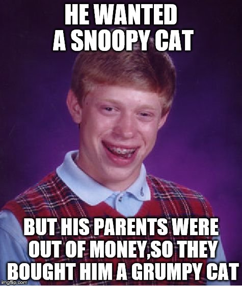 Bad Luck Brian Meme | HE WANTED A SNOOPY CAT; BUT HIS PARENTS WERE OUT OF MONEY,SO THEY BOUGHT HIM A GRUMPY CAT | image tagged in memes,bad luck brian | made w/ Imgflip meme maker