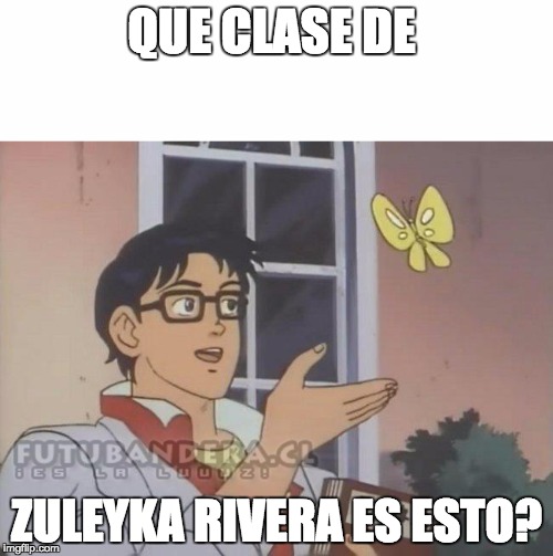 Que clase de... | QUE CLASE DE; ZULEYKA RIVERA ES ESTO? | image tagged in que clase de | made w/ Imgflip meme maker