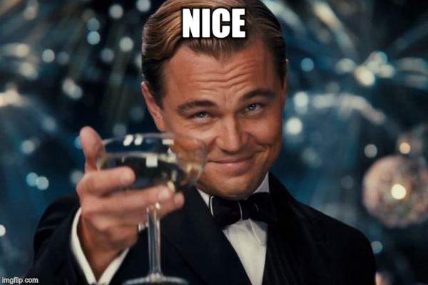 Leonardo Dicaprio Cheers Meme | NICE | image tagged in memes,leonardo dicaprio cheers | made w/ Imgflip meme maker