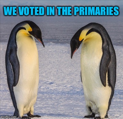 Sad Penguins | WE VOTED IN THE PRIMARIES | image tagged in vote,penguins | made w/ Imgflip meme maker