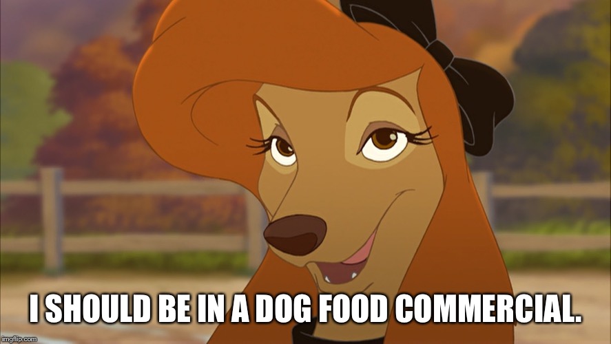 I Should Be In A Dog Food Commercial | I SHOULD BE IN A DOG FOOD COMMERCIAL. | image tagged in dixie smiling,memes,disney,the fox and the hound 2,reba mcentire,dog | made w/ Imgflip meme maker