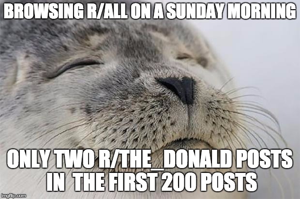 Satisfied Seal | BROWSING R/ALL ON A SUNDAY MORNING; ONLY TWO R/THE_DONALD POSTS IN 
THE FIRST 200 POSTS | image tagged in memes,satisfied seal,AdviceAnimals | made w/ Imgflip meme maker
