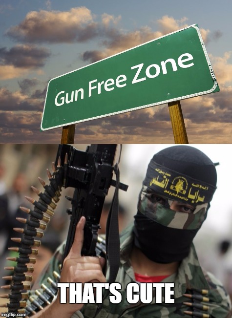 Who's gonna stop him? | THAT'S CUTE | image tagged in gun free zone,terrorism | made w/ Imgflip meme maker