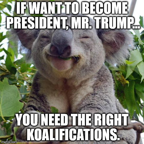 Hillary's Koala | IF WANT TO BECOME PRESIDENT, MR. TRUMP... YOU NEED THE RIGHT KOALIFICATIONS. | image tagged in smilekoala,memes,funny,hillary clinton,donald trump,front page | made w/ Imgflip meme maker