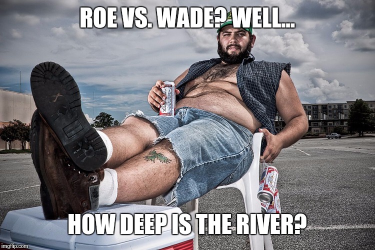 Gettin' all the details... |  ROE VS. WADE? WELL... HOW DEEP IS THE RIVER? | image tagged in redneck with beer,redneck logic,details detail | made w/ Imgflip meme maker