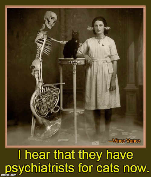 That Cat Needs a Shrink | —Vince Vance; I hear that they have psychiatrists for cats now. | image tagged in cat psychiatry,vince vance,skeleton with french horn,black cat,psychiatrist for cats | made w/ Imgflip meme maker