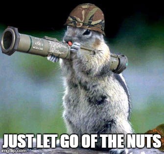 Bazooka Squirrel | JUST LET GO OF THE NUTS | image tagged in memes,bazooka squirrel | made w/ Imgflip meme maker