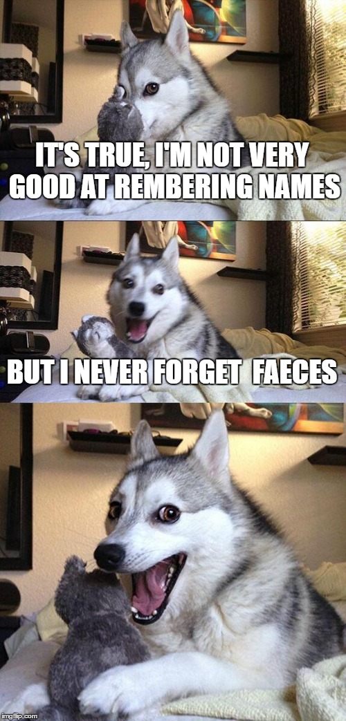 Bad Pun Dog | IT'S TRUE, I'M NOT VERY GOOD AT REMBERING NAMES; BUT I NEVER FORGET  FAECES | image tagged in memes,bad pun dog | made w/ Imgflip meme maker