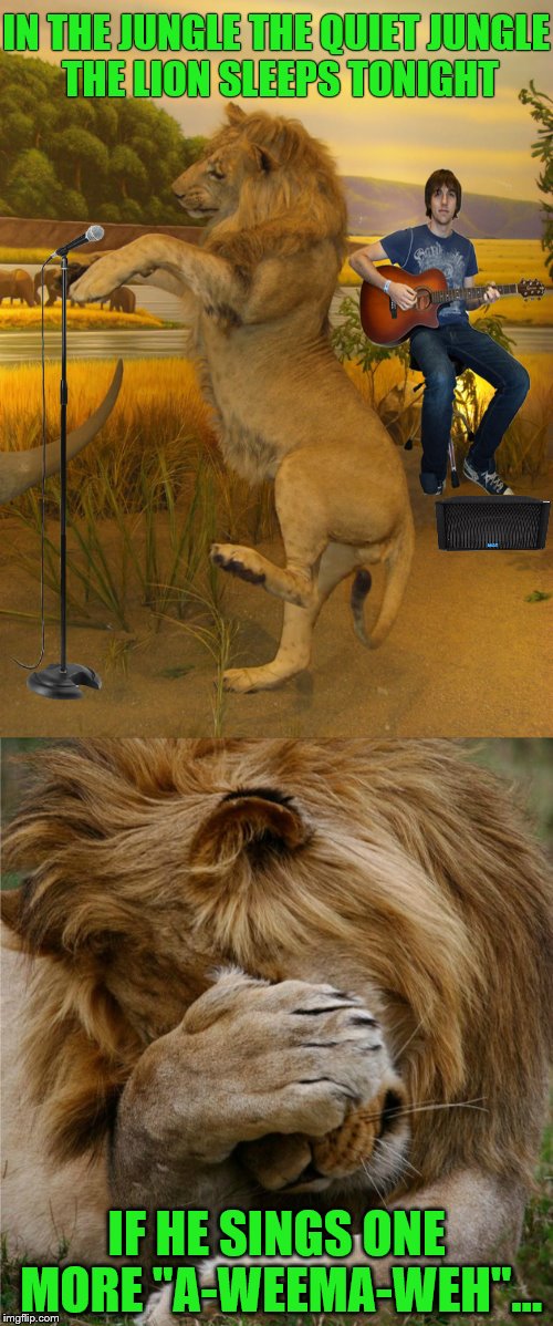 Don't hate him because he's happy. | IN THE JUNGLE THE QUIET JUNGLE THE LION SLEEPS TONIGHT; IF HE SINGS ONE MORE "A-WEEMA-WEH"... | image tagged in memes,funny,animals,cecils greatest hits,lion | made w/ Imgflip meme maker