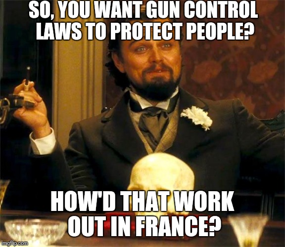 Flawed liberal logic | SO, YOU WANT GUN CONTROL LAWS TO PROTECT PEOPLE? HOW'D THAT WORK OUT IN FRANCE? | image tagged in memes,liberal logic | made w/ Imgflip meme maker