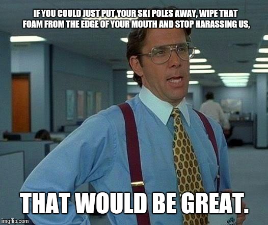 That Would Be Great | IF YOU COULD JUST PUT YOUR SKI POLES AWAY, WIPE THAT FOAM FROM THE EDGE OF YOUR MOUTH AND STOP HARASSING US, THAT WOULD BE GREAT. | image tagged in memes,that would be great | made w/ Imgflip meme maker