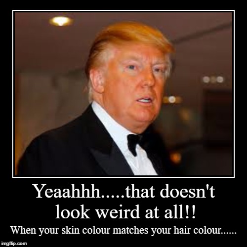 Orange you glad my hairstyle isn't the only discussion point.... | image tagged in funny,memes,donald trump | made w/ Imgflip demotivational maker