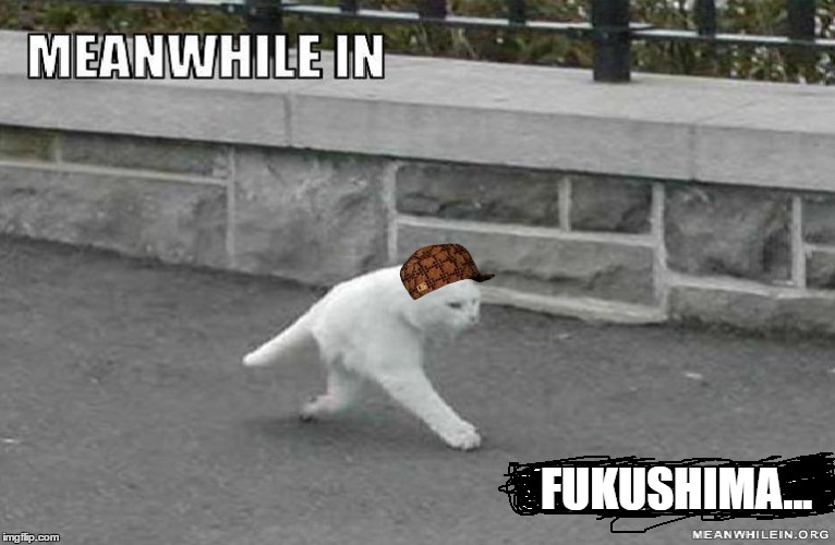 FUKUSHIMA... | image tagged in meanwhile in,fukushima | made w/ Imgflip meme maker