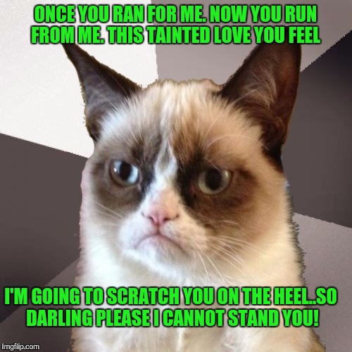 Tainted Love | ONCE YOU RAN FOR ME. NOW YOU RUN FROM ME. THIS TAINTED LOVE YOU FEEL; I'M GOING TO SCRATCH YOU ON THE HEEL..SO DARLING PLEASE I CANNOT STAND YOU! | image tagged in musically malicious grumpy cat | made w/ Imgflip meme maker
