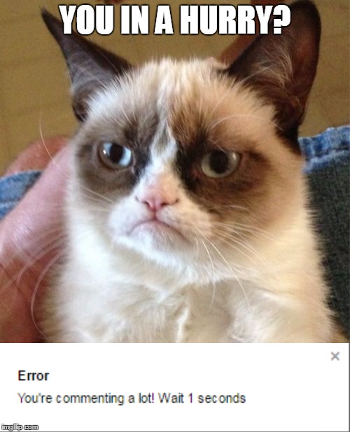 Grumpy imgflip Cat | YOU IN A HURRY? | image tagged in memes,grumpy cat,imgflip,funny,comments | made w/ Imgflip meme maker