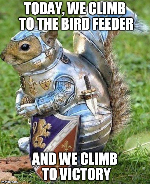 TODAY, WE CLIMB TO THE BIRD FEEDER; AND WE CLIMB TO VICTORY | image tagged in victory | made w/ Imgflip meme maker