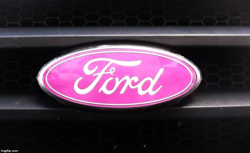 image tagged in ford oval pink | made w/ Imgflip meme maker