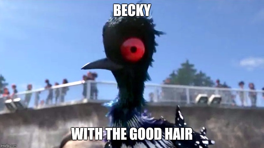 Becky | BECKY; WITH THE GOOD HAIR | image tagged in becky | made w/ Imgflip meme maker