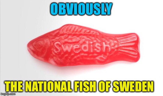 OBVIOUSLY THE NATIONAL FISH OF SWEDEN | made w/ Imgflip meme maker