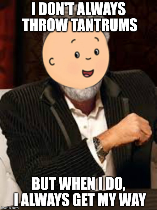 Caillou is an idiot | I DON'T ALWAYS THROW TANTRUMS; BUT WHEN I DO, I ALWAYS GET MY WAY | image tagged in caillou most interesting man,caillou,the most interesting man in the world,tantrum,funny,memes | made w/ Imgflip meme maker