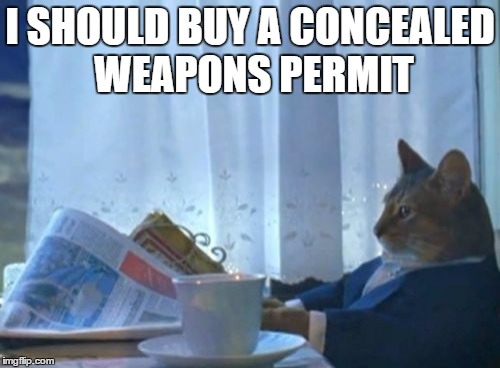 I Should Buy A Boat Cat | I SHOULD BUY A CONCEALED WEAPONS PERMIT | image tagged in memes,i should buy a boat cat | made w/ Imgflip meme maker