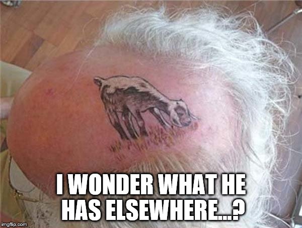You've goat to see it to believe it | I WONDER WHAT HE HAS ELSEWHERE...? | image tagged in memes,tattoos,animals | made w/ Imgflip meme maker