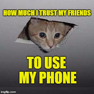Ceiling Cat Meme | HOW MUCH I TRUST MY FRIENDS; TO USE MY PHONE | image tagged in memes,ceiling cat | made w/ Imgflip meme maker