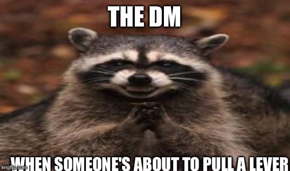 THE DM; WHEN SOMEONE'S ABOUT TO PULL A LEVER | image tagged in evil plotting raccoon | made w/ Imgflip meme maker