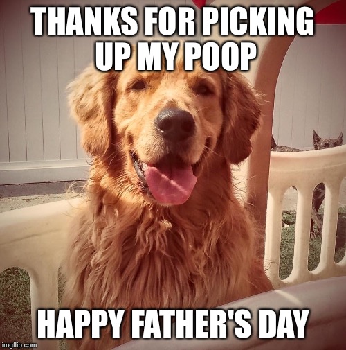 Thanks Dad! | THANKS FOR PICKING UP MY POOP; HAPPY FATHER'S DAY | image tagged in fathers day,dog says | made w/ Imgflip meme maker
